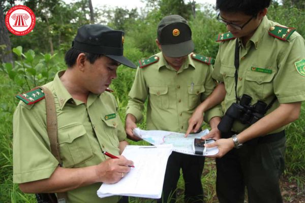 Quản lý bảo vệ rừng viên được hưởng mức lương là bao nhiêu?