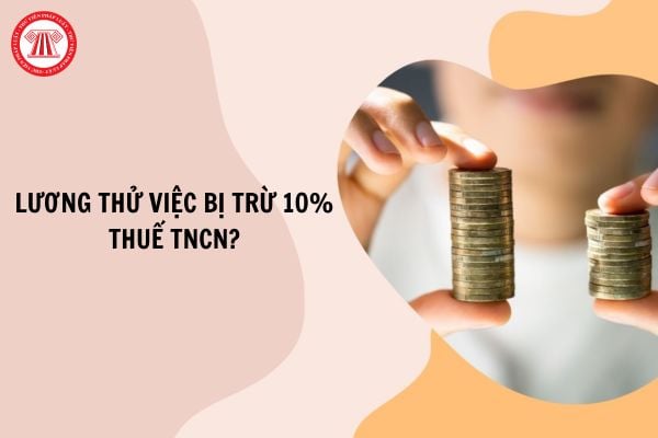 Có hay không chuyện thử việc bị trừ 10% thuế thu nhập cá nhân?