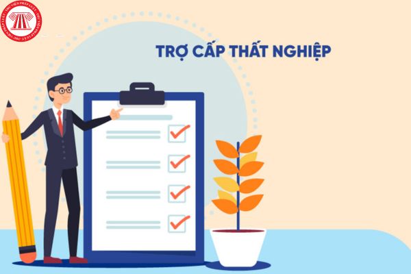  09 trường hợp người lao động không được hưởng trợ cấp thất nghiệp?