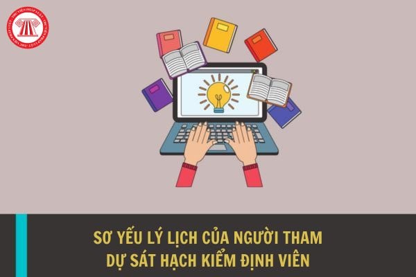 Mẫu sơ yếu lý lịch của người tham dự sát hạch kiểm định viên giáo dục đại học?