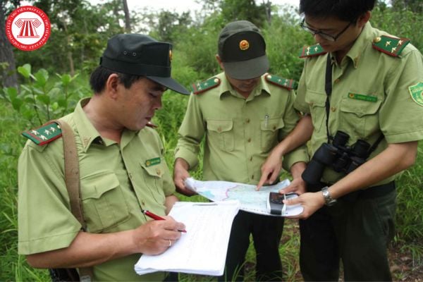 Mức phụ cấp ưu đãi theo nghề đối với công chức ngành kiểm lâm là bao nhiêu?