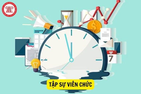 Tập sự viên chức bao lâu khi được tuyển vào chức danh nghề nghiệp yêu cầu trình độ đại học?