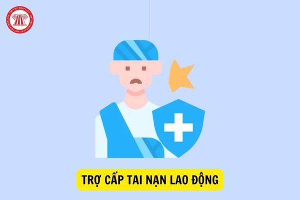 Hồ sơ hưởng trợ cấp tai nạn lao động đối với người bị tai nạn lao động được giám định lại sau khi thương tật tái phát?