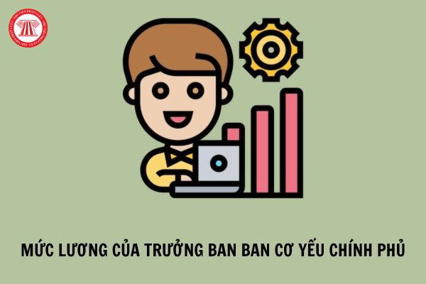 Trưởng ban Ban Cơ yếu Chính phủ được nhận mức lương cao nhất trong tổ chức cơ yếu?