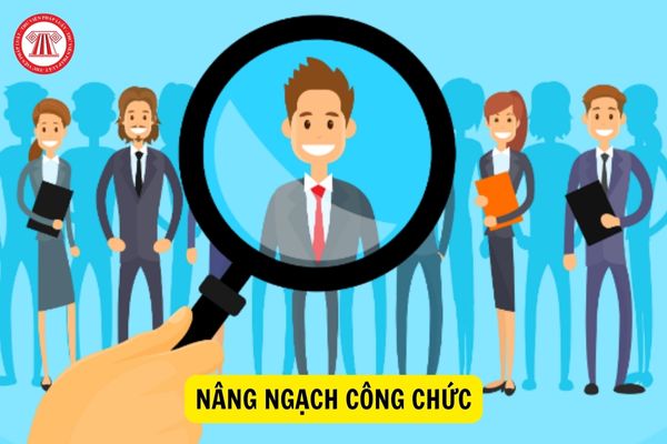 Ai được miễn thi môn tin học trong kỳ thi nâng ngạch công chức hiện nay?