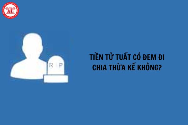 Tiền tử tuất có đem đi chia thừa kế không?