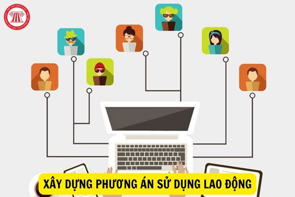 Có bắt buộc phải xây dựng phương án sử dụng lao động khi doanh nghiệp tổ chức lại lao động không?