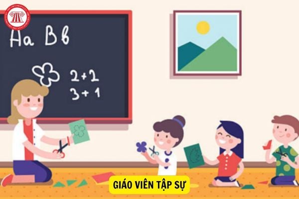 Hoàn thành tập sự, giáo viên tập sự có thể không được tuyển dụng?