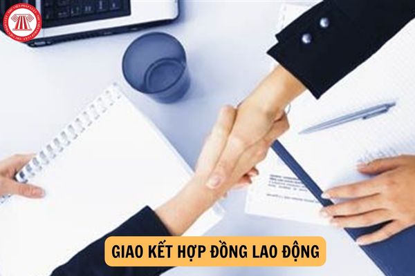 Những thông tin nào phải được cung cấp khi giao kết hợp đồng lao động?