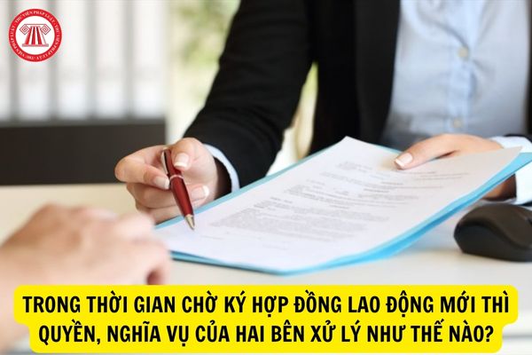 Trong thời gian chờ ký hợp đồng lao động mới thì quyền, nghĩa vụ của hai bên xử lý như thế nào?