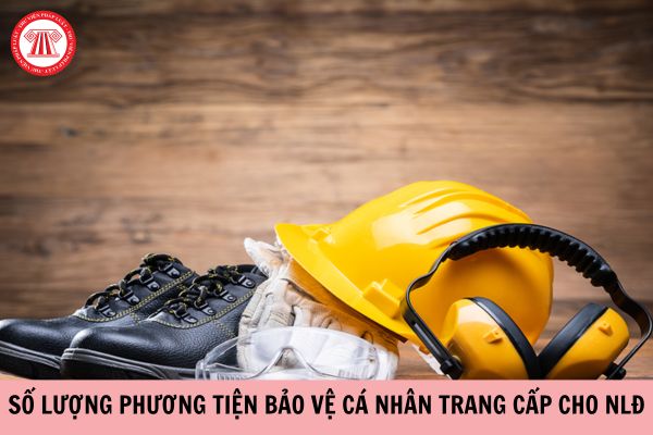 Số lượng phương tiện bảo vệ cá nhân trang cấp cho người lao động là bao nhiêu?