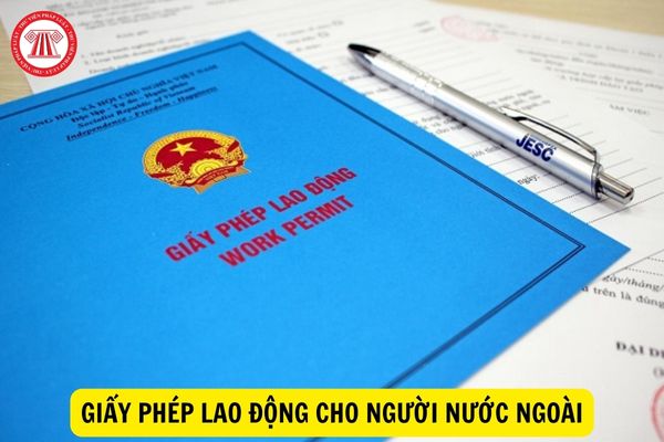 Mẫu đơn đề nghị cấp giấy phép lao động cho người nước ngoài mới nhất hiện nay?