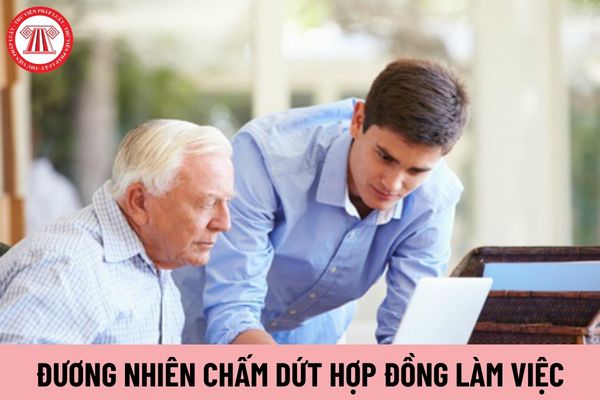 Có đương nhiên chấm dứt hợp đồng làm việc khi viên chức có quyết định nghỉ hưu không?