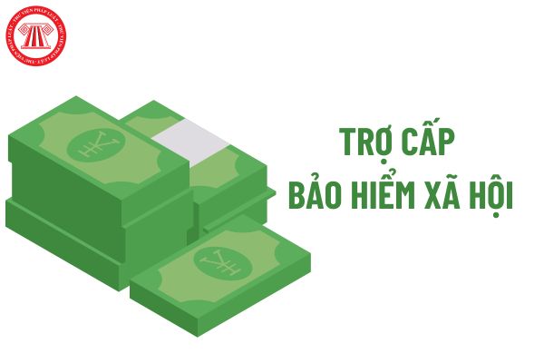 Khi nào người lao động bị tạm dừng hưởng trợ cấp bảo hiểm xã hội hằng tháng?