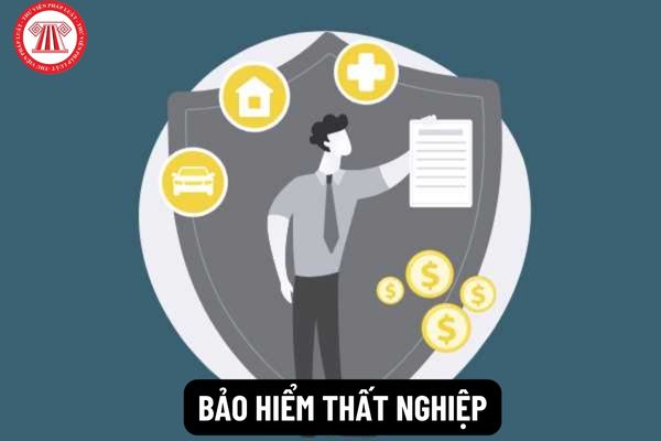 Bảo hiểm thất nghiệp gồm những chế độ nào?