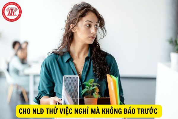 Công ty cho người lao động thử việc nghỉ mà không báo trước thì có phải chịu bồi thường không?