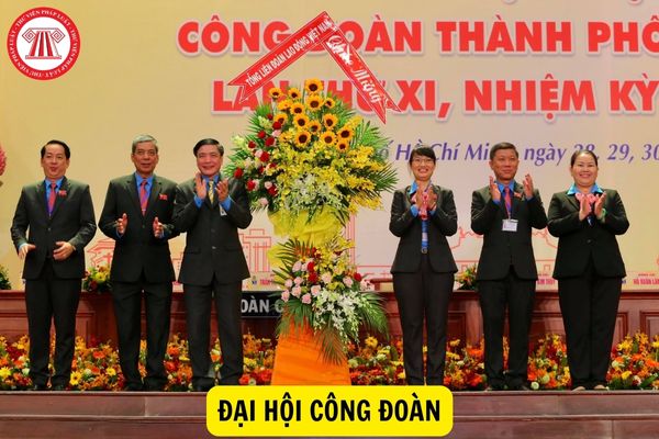 Chương trình duyệt Đại hội công đoàn cơ sở trực thuộc toàn diện Liên đoàn lao động TP. HCM diễn ra như thế nào?