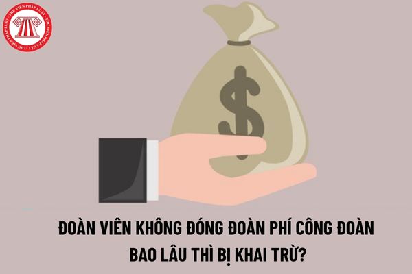 Đoàn viên không đóng đoàn phí công đoàn bao lâu thì bị khai trừ?