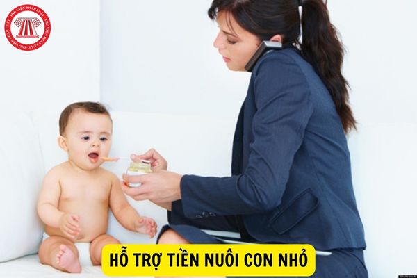 Tiền nuôi con nhỏ của người lao động được hỗ trợ thì có dùng để đóng bảo hiểm xã hội không?