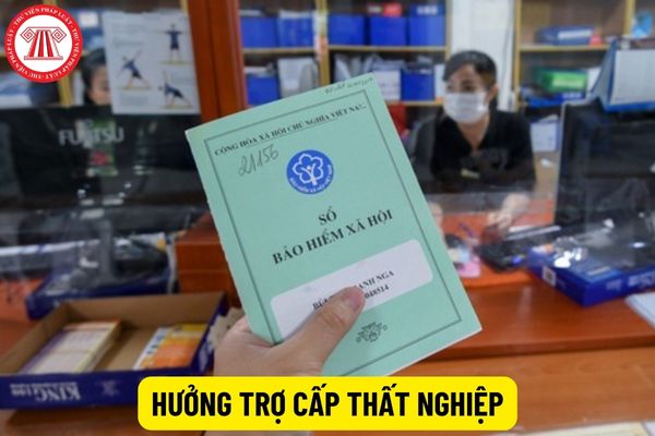 Không có quyết định thôi việc có làm hồ sơ hưởng trợ cấp thất nghiệp được không?