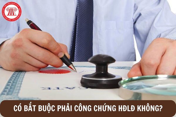 Có bắt buộc phải công chứng hợp đồng lao động không?