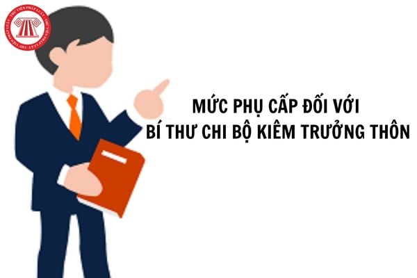 Mức phụ cấp đối với Bí thư chi bộ kiêm Trưởng thôn theo quy định mới là bao nhiêu?