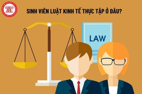 Sinh viên luật kinh tế thực tập ở đâu?