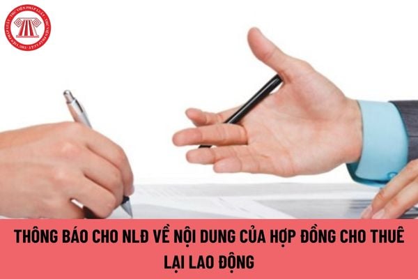 Có cần thông báo cho người lao động về nội dung của hợp đồng cho thuê lại lao động không?