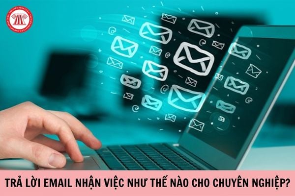 Trả lời email nhận việc như thế nào cho chuyên nghiệp?