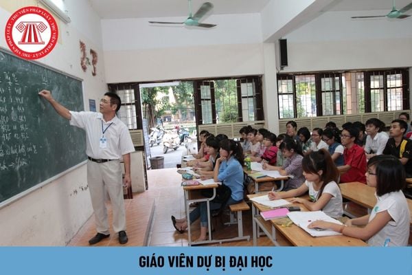 Giáo viên dự bị đại học hạng 1 có hệ số lương bao nhiêu?