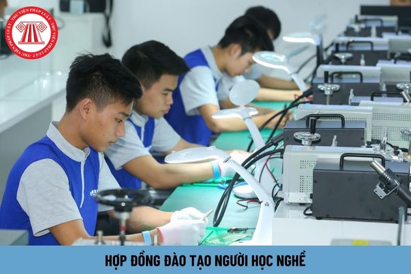 Nội dung hợp đồng đào tạo người học nghề để làm việc cho người sử dụng lao động gồm những gì?