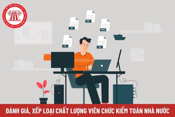 Tài liệu kết quả đánh giá, xếp loại chất lượng viên chức Kiểm toán Nhà nước gồm những gì?