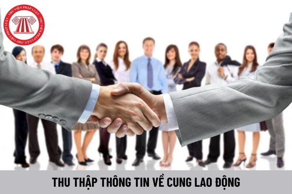 Thu thập thông tin về cung lao động gồm những nội dung gì?