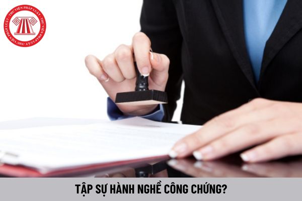 Khi nào được coi là người tập sự hành nghề công chứng?