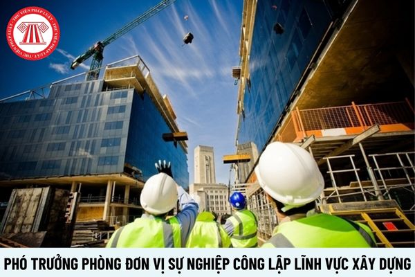 Phó Trưởng phòng đơn vị sự nghiệp công lập lĩnh vực xây dựng yêu cầu có trình độ ra sao?