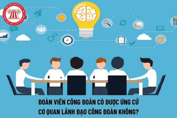 Đoàn viên công đoàn có được ứng cử cơ quan lãnh đạo công đoàn không?