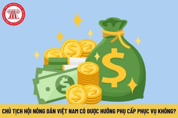 Chủ tịch Hội Nông dân Việt Nam có được hưởng phụ cấp phục vụ không?