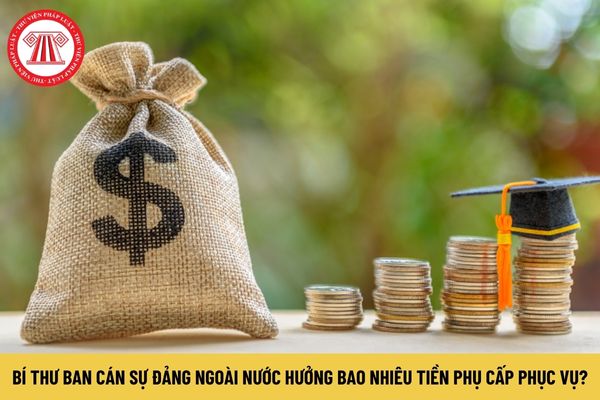 Bí thư Ban Cán sự đảng ngoài nước được hưởng bao nhiêu tiền phụ cấp phục vụ?