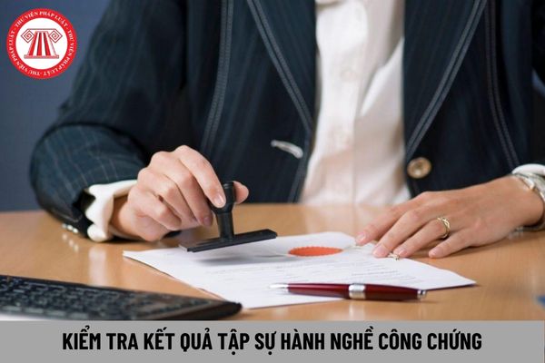 Kiểm tra kết quả tập sự hành nghề công chứng bằng hình thức gì?