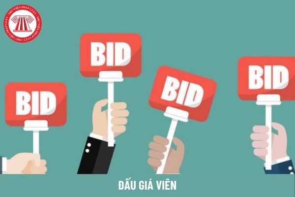 Học ngành tài chính có được làm đấu giá viên không?