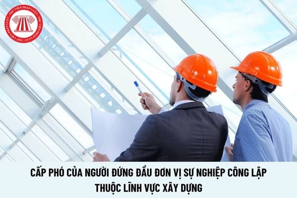 Cấp phó của người đứng đầu đơn vị sự nghiệp công lập thuộc lĩnh vực xây dựng có quyền hạn gì?