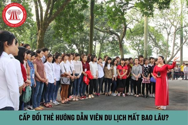 Cấp đổi thẻ hướng dẫn viên du lịch mất bao lâu?