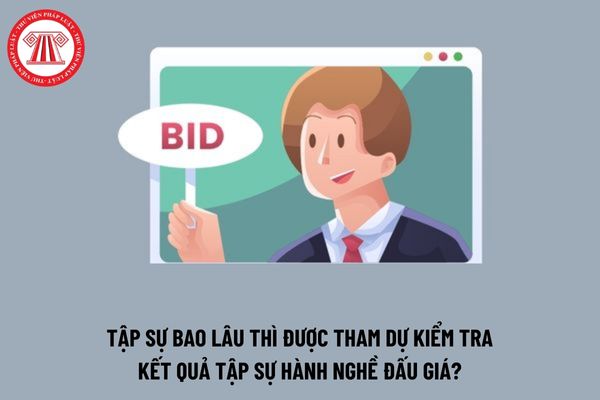 Tập sự bao lâu thì được tham dự kiểm tra kết quả tập sự hành nghề đấu giá?