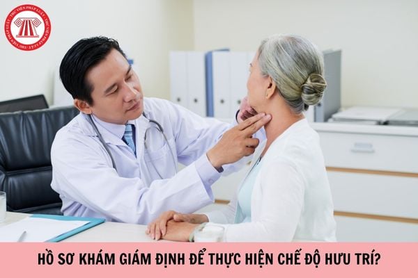 Hồ sơ khám giám định để thực hiện chế độ hưu trí gồm những gì?