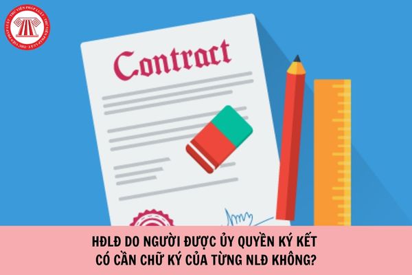 Hợp đồng lao động do người được ủy quyền ký kết có cần chữ ký của từng người lao động không?