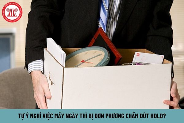 Tự ý nghỉ việc mấy ngày thì bị đơn phương chấm dứt hợp đồng lao động?