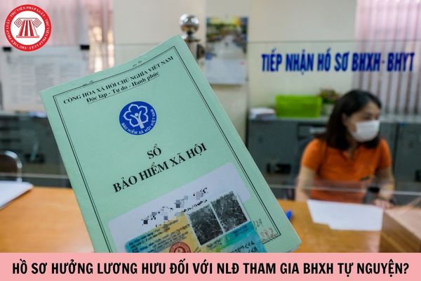 Hồ sơ hưởng lương hưu đối với người lao động tham gia bảo hiểm xã hội tự nguyện gồm những gì?