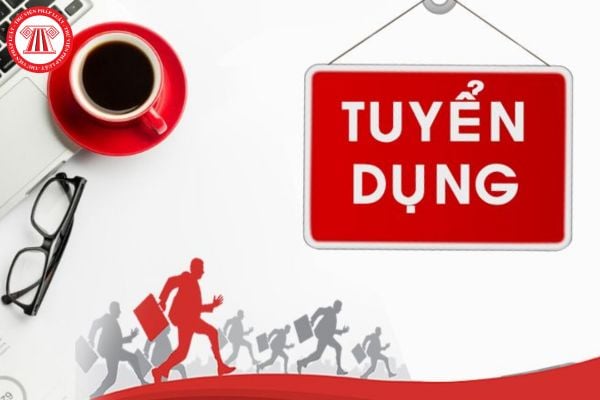 UBND TP. Chí Linh, Hải Dương thông báo tuyển dụng giáo viên, nhân viên năm 2023 với nhu cầu ra sao?