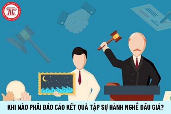 Khi nào phải báo cáo kết quả tập sự hành nghề đấu giá?