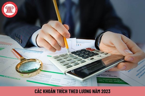 Các khoản trích theo lương năm 2023 của người lao động như thế nào?